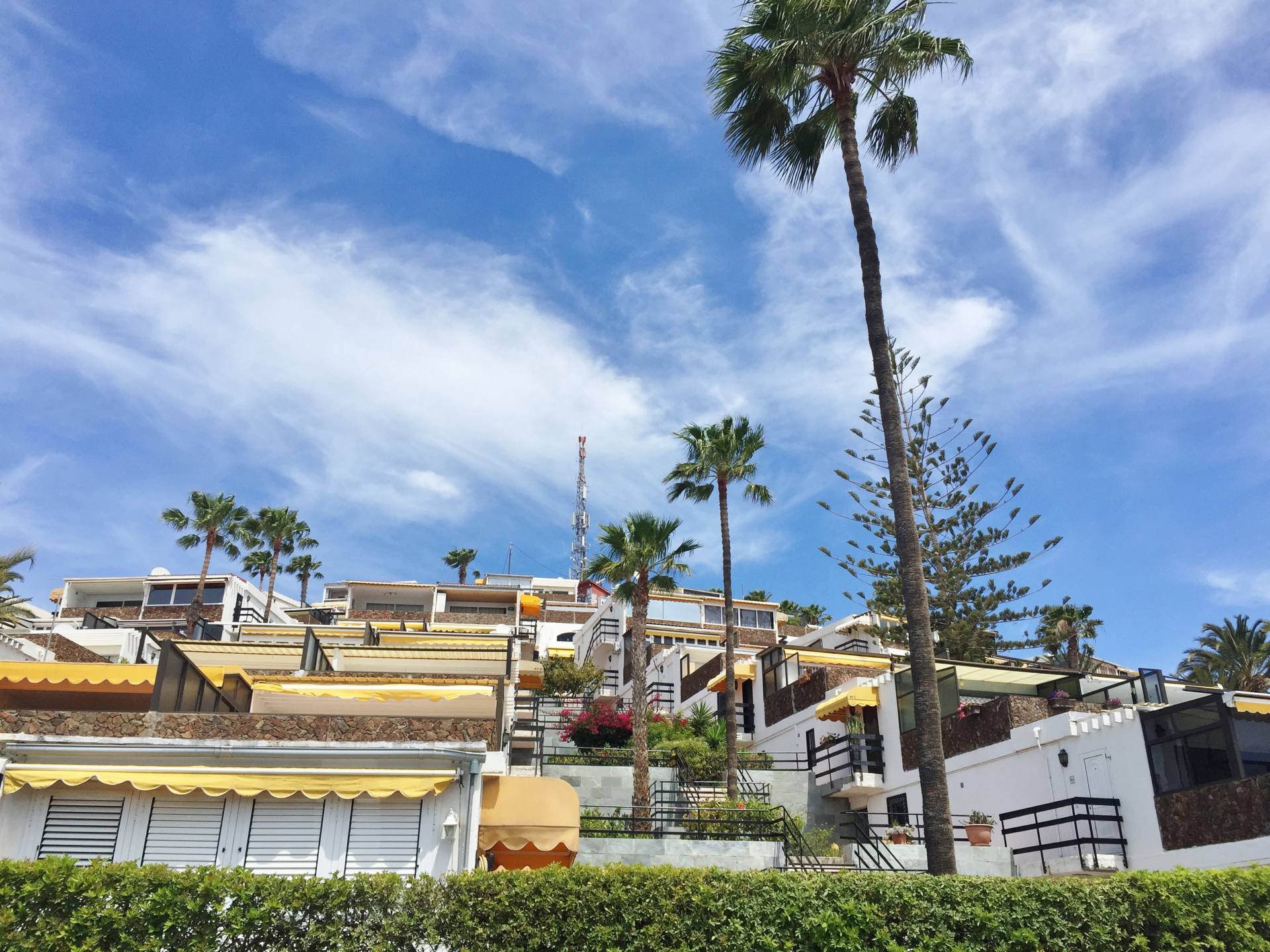 wettervorhersage gran canaria san agustin
