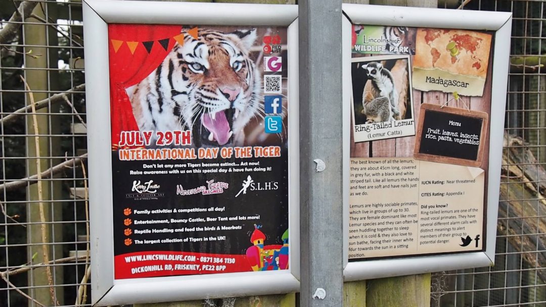 LincolnshireWildlifeParkPoster Emma Victoria Stokes