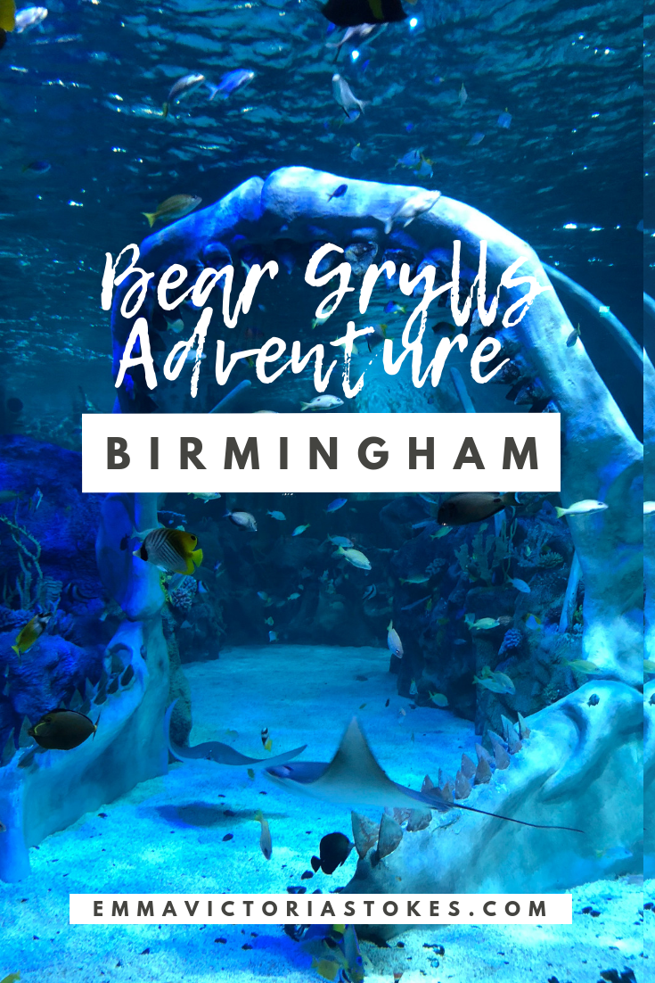 Bear Grylls Adventure Day Birmingham 