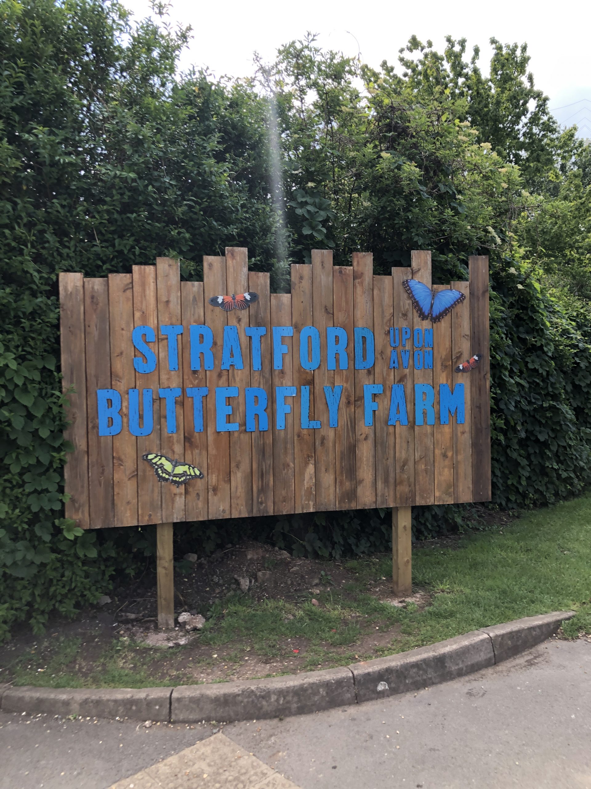 Butterfly Farm Stratford